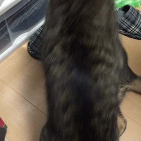 判断出来ない。の画像