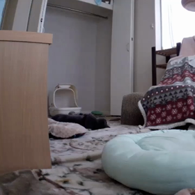 Day 948の画像