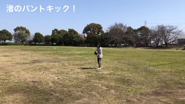 娘の低弾道パントキック！(^.^)の記事動画
