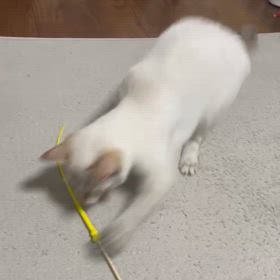 今日のことの画像