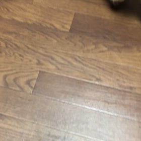 ピピの経過4の画像
