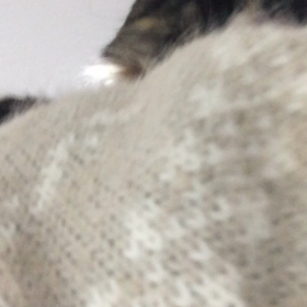 寒い！の画像