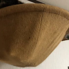 ピピとの攻防の画像