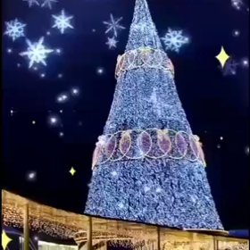 納め稽古&クリスマスイブの画像