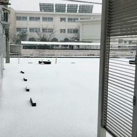 きたきたきたの画像