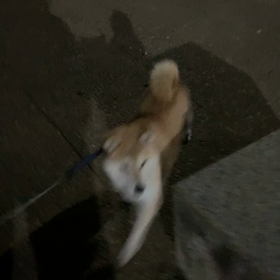 先ずは色々試してみます。の画像