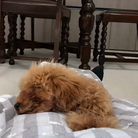 おとーやん初投稿です。の画像