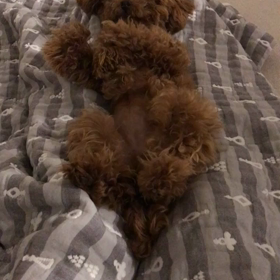 おかーやんの足ベッドの画像