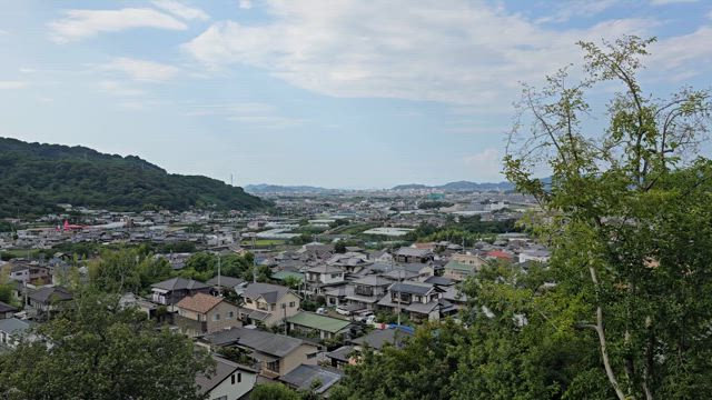 【アートベンチャーエヒメフェス会場とべ動物園へ視察へ。】の記事動画