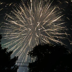大濠花火大会＼(^o^)／の画像