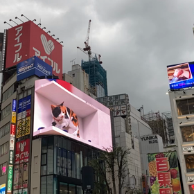 美容DAYの画像