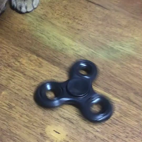 ハンドスピナーと猫の画像