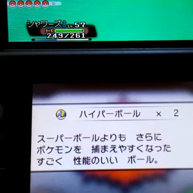 いろちがいジグザグマゲットの画像