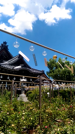天川村と、風鈴のお寺へ。の記事動画