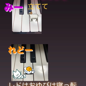 はじめてのの画像