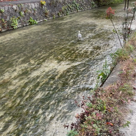 京都の風景よりの画像
