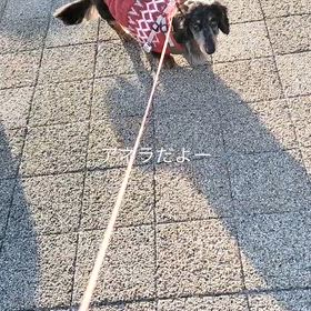 2025/11/24の画像