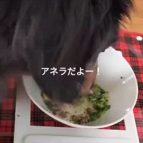2025/10/07の画像