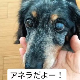 2026/02/15の画像