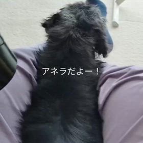 2025/08/05の画像