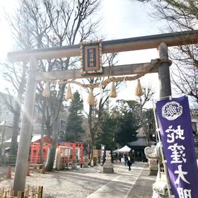 2026/02/07の画像