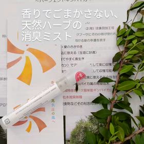 2026/05/17の画像