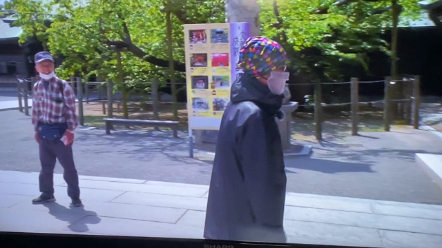 うちのかぼす君TVデビュー！の記事動画