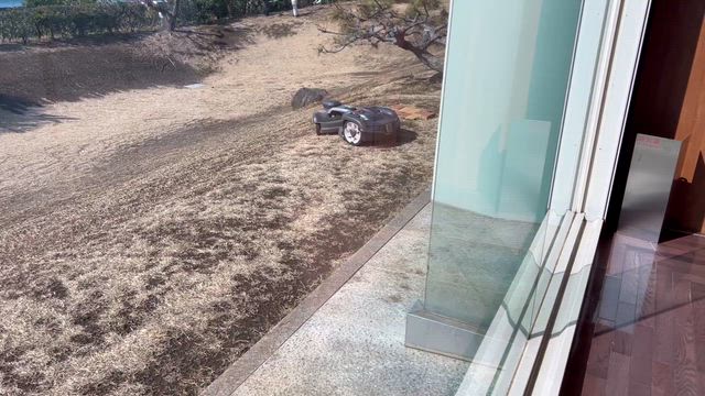 海辺でございます。の記事動画