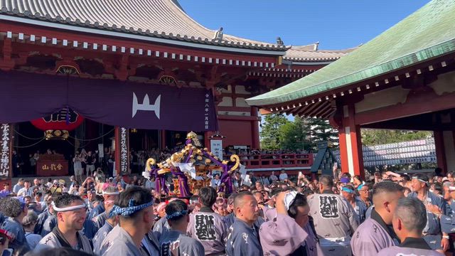 三社祭でございます。の記事動画