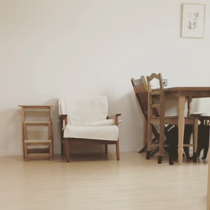 しっぽが千切れていた黒猫しっぽくん、幸せになって！の記事動画