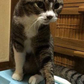 今日のらんの画像