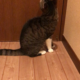 今日のらんの画像