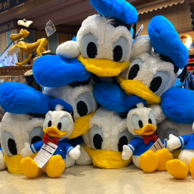 パークはとても過ごしやすいの画像