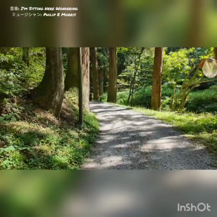 散歩中の大型犬３匹を呼んでみたの記事動画