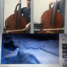 異色のコラボの画像