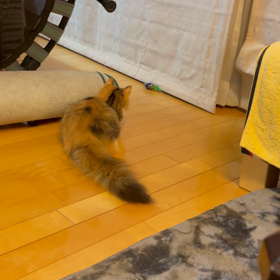 ネズミさん　２の画像