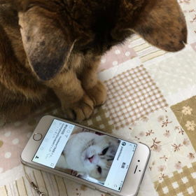 はぁ…の画像