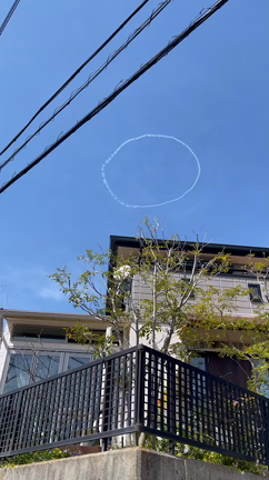 4月桜も綺麗に咲きましたの記事動画