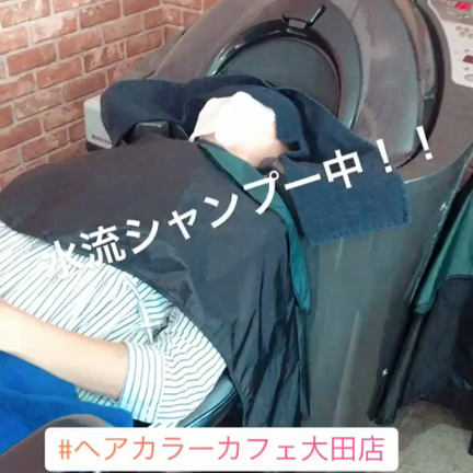 水流シャンプー！の記事動画