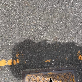 A型作業所通い24歳の日常7の画像