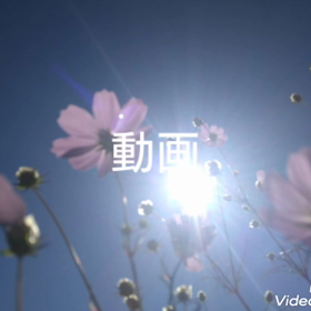 光の画像