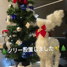 ツリー設置しました☆の画像