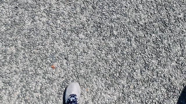 ポカポカ陽気、近所をお散歩の記事動画