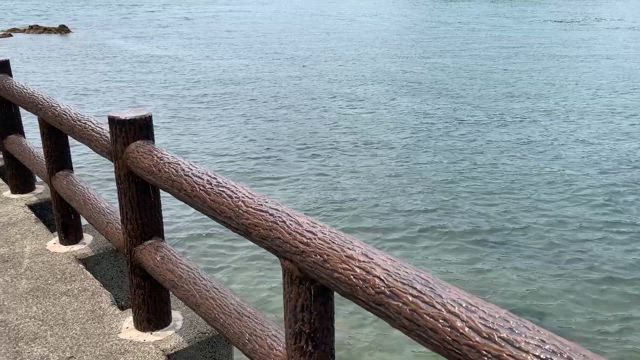 手帳ナビゲーター仲間と広島旅行、パート2の記事動画