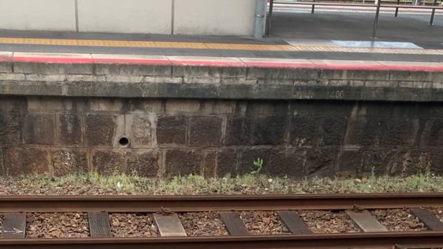 手帳ナビゲーター仲間と、広島旅行の記事動画