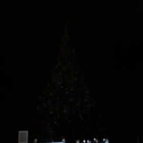 今年のXmasツリーの画像