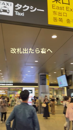 穴場かもの記事動画