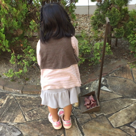 やってみ！の画像