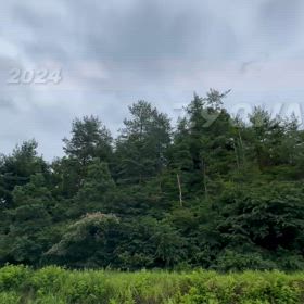 2024年7月9日（火）のおわらサーキットの画像