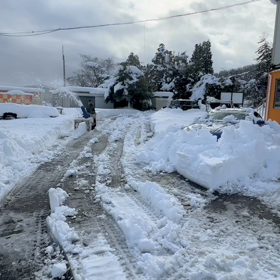 【お知らせ】雪のため年内の営業は終了しますの画像